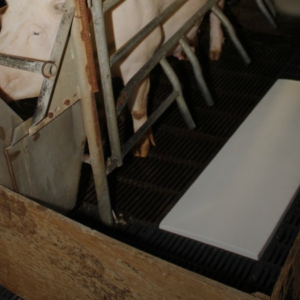 Ultimat Single Curved heat pad
